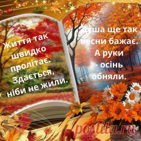Я люблю тебя жизнь...