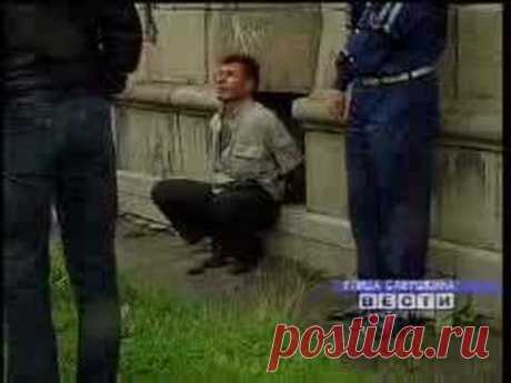 "Вести" СПб. Белая горячка