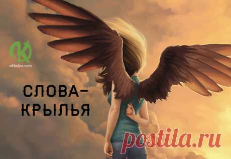 10 жизненных советов от вашего… кота