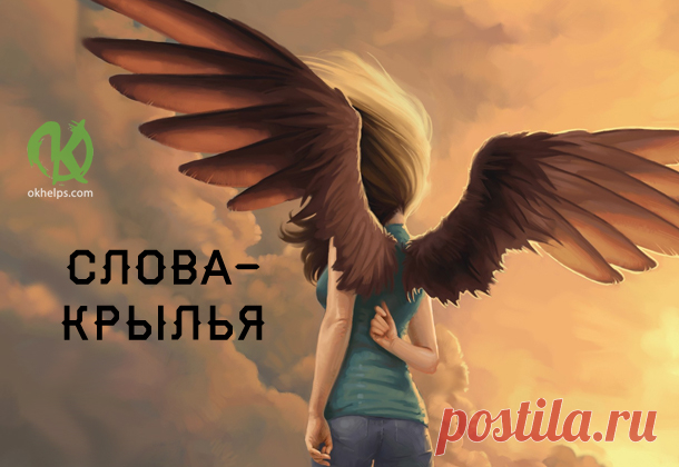 10 жизненных советов от вашего… кота