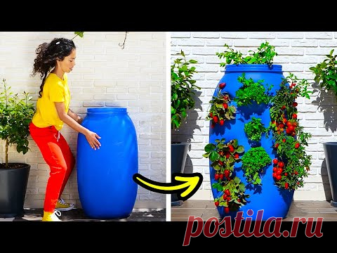 25 Incredible Backyard Design Ideas by 5-Minute DECOR!
