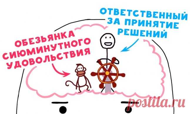 Почему прокрастинаторы прокрастинируют