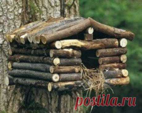 Оригинальные скворечники / Я - суперпупер