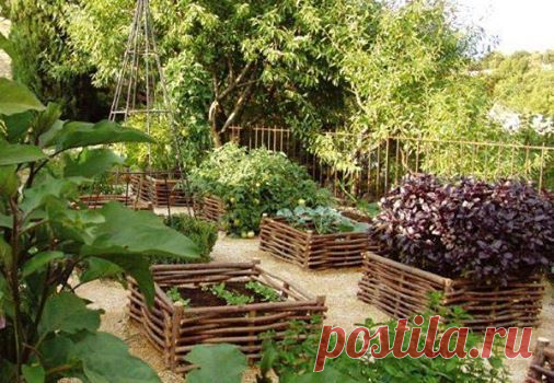 (76) Дача Своими Руками