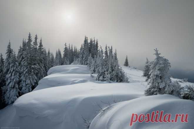 photo: *** | photographer: Александр | WWW.PHOTODOM.COM
