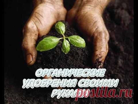 Удобрения для комнатных растений своими руками