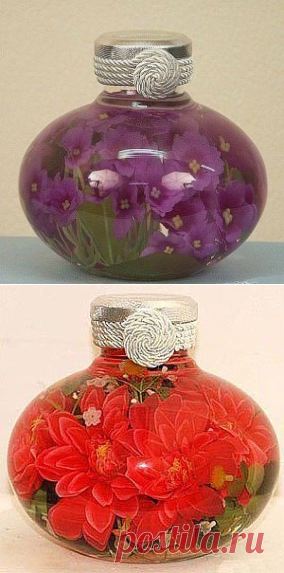 (3) Одноклассники