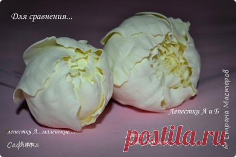 Мастер класс бутон пиона из фоамирана — Simon-photo.Ru