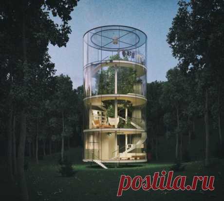 Оригинальный концепт &quot;Дерево в доме&quot; » хЕХЕ - Развлекательный портал который платит Вам за новости.