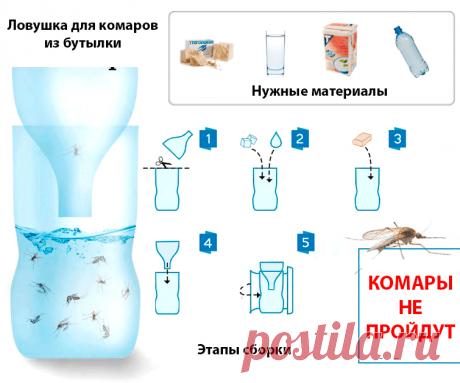 ✔Комары просто мчат в приготовленную ловушку, даже кусаться забывают. + еще 4 совета для защиты от кровососов | Огород и сад. Полезные советы | Яндекс Дзен