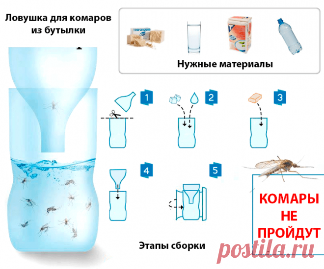 ✔Комары просто мчат в приготовленную ловушку, даже кусаться забывают. + еще 4 совета для защиты от кровососов | Огород и сад. Полезные советы | Яндекс Дзен