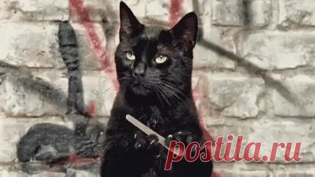 Народная примета:"Как женщина 8 марта отметит, так мужик весь год и проведет."😂 Народная примета:"Как женщина 8 марта отметит, так мужик весь год и проведет."😂