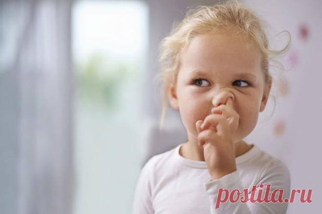 Познавательный сайт ,,1000 мелочей