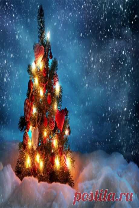Winter Christmas Snow Wallpaper - 640x960 - 425571