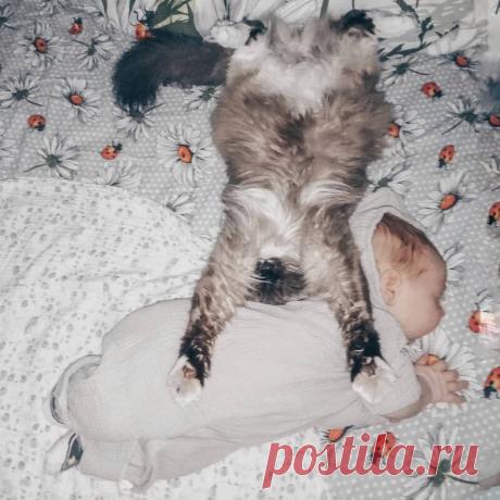 Реакция домашних животных на детей в доме — Убойный юмор