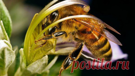 Мой Мир@Mail.Ru