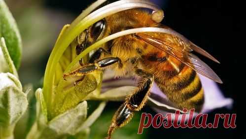 Мой Мир@Mail.Ru