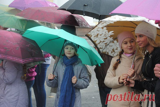 В центре Петербурга открывается «Аллея парящих зонтиков» | События | КУЛЬТУРА | АиФ Санкт-Петербург