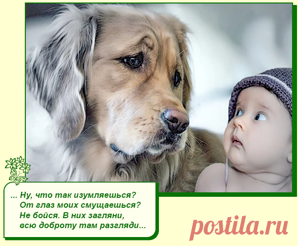 Хорошего Вам настроения.