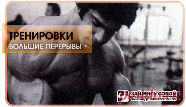 Большие перерывы в тренировках / Абсолютное здоровье