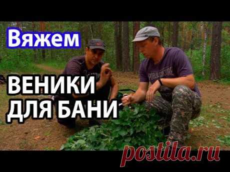 Заготовка БАННЫХ ВЕНИКОВ.  Как правильно ВЯЗАТЬ, СУШИТЬ И ХРАНИТЬ ВЕНИКИ ДЛЯ БАНИ?