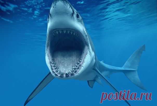 Беспощадные твари!