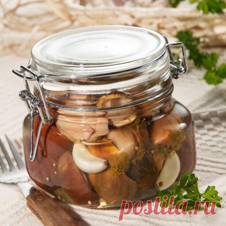 Как вкусно приготовить грибы: 18 рецептов заготовок на зиму