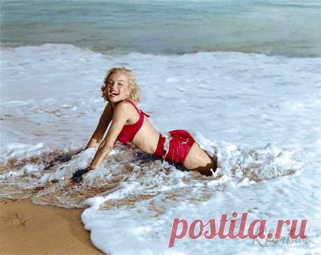 39148545661_84fa6bbf3b_c.jpg (800×635)