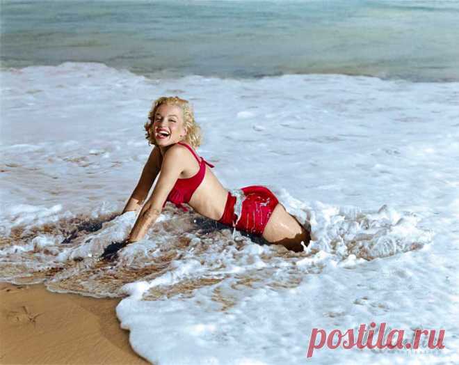 39148545661_84fa6bbf3b_c.jpg (800×635)