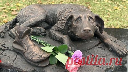 Памятник бездомным животным появился в Москве – Зоомилосердие, пользователь Хомячок Сетевой | Группы Мой Мир