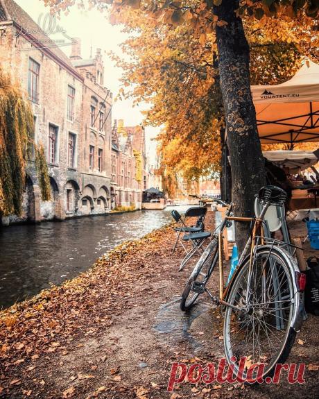 #Брюгге@discoverygroup