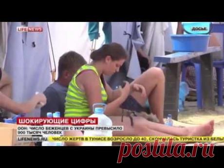 ООН: число беженцев с Украины приближается к 1 миллиону. | Гвоздика