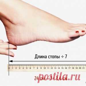 Высота каблука