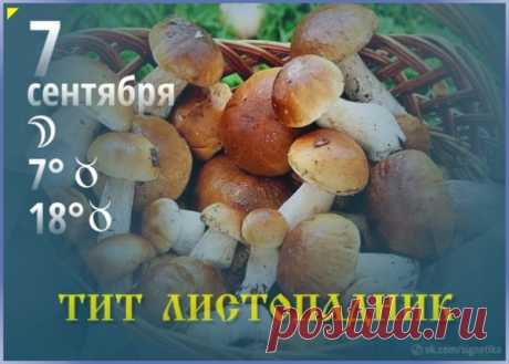 Тит родился на острове Крит, был знатным человеком, но после обращения в христианство стал учеником Павла и впоследствии епископом Крита.