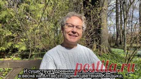 (76) Ботанический сад • Тверь - Публикации