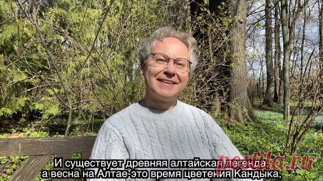 (76) Ботанический сад • Тверь - Публикации
