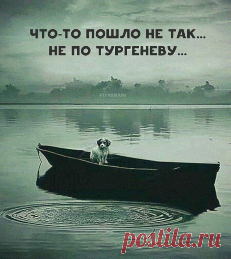 Мои подписки