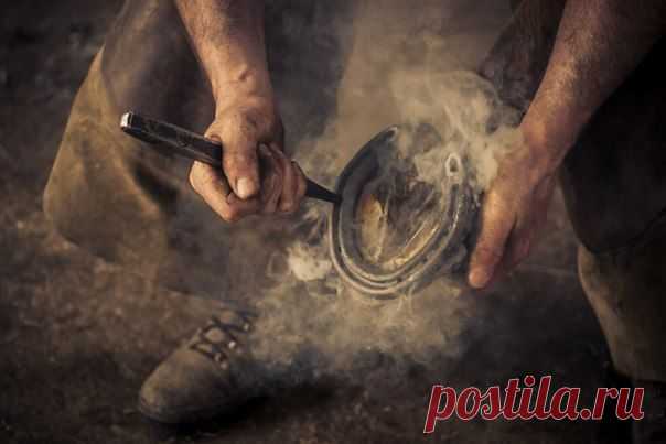 Никогда подкова не принесёт тебе счастья и удачу, пока не прибьёшь её к своему копыту и не начнёшь пахать, как лошадь! / Сферический бизнес