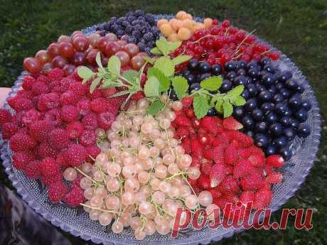 Мой Мир@Mail.Ru