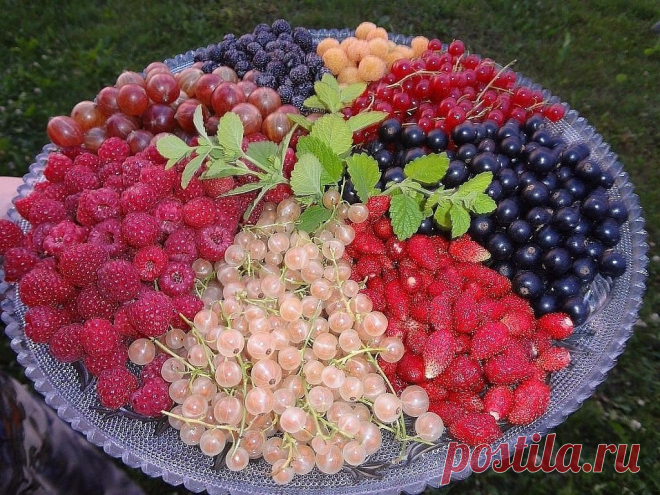 Мой Мир@Mail.Ru