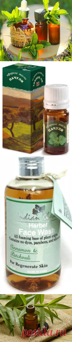 Масло пачули — свойства, действие и применение