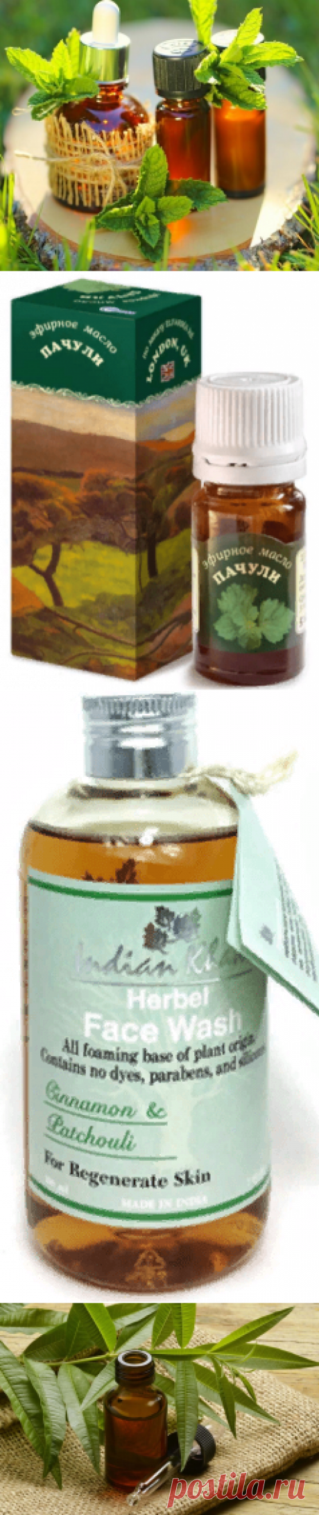 Масло пачули — свойства, действие и применение