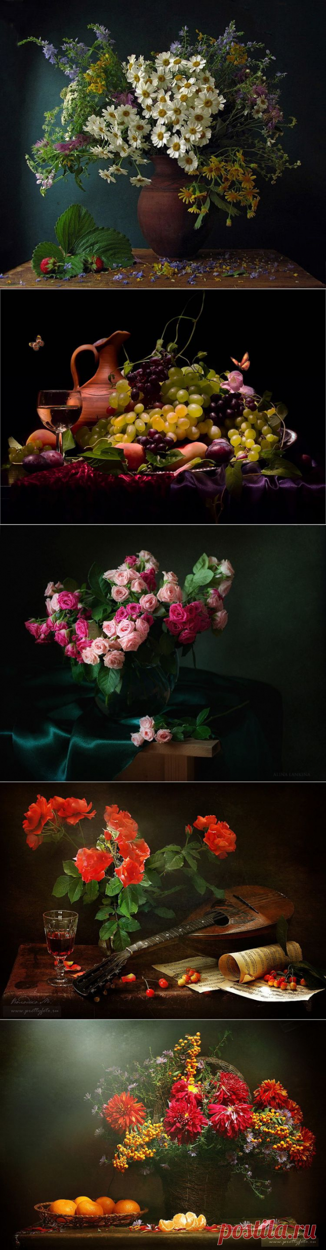 Фотонатюрморты.