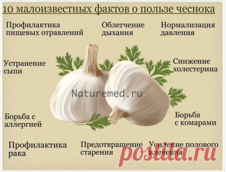 Чеснок помогает предотвратить грипп и простуду. Но на этом его полезные свойства не заканчиваются. Питание чеснок умеет и потенцию усиливать, и с отравлением несвежими продуктами бороться.  Читайте более подробно https://naturemed.ru/archives/12723