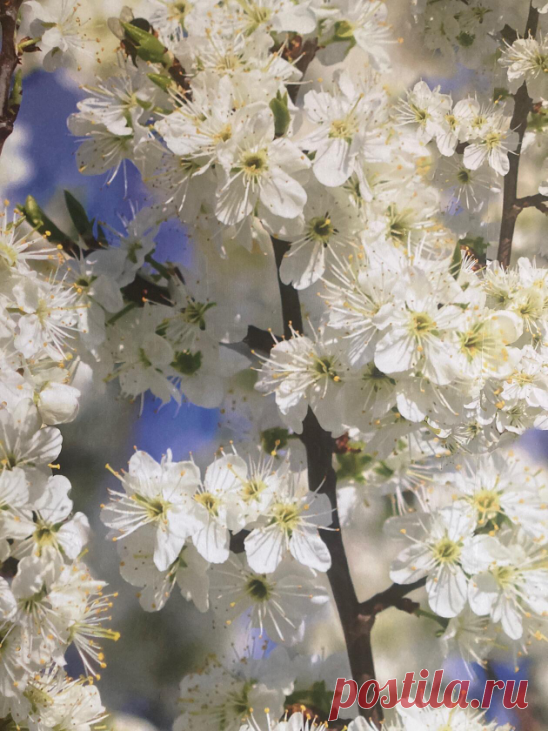 Клининговая компания «Чисто»:уборка квартир,помывка окон и балконов,тел: 89043877345