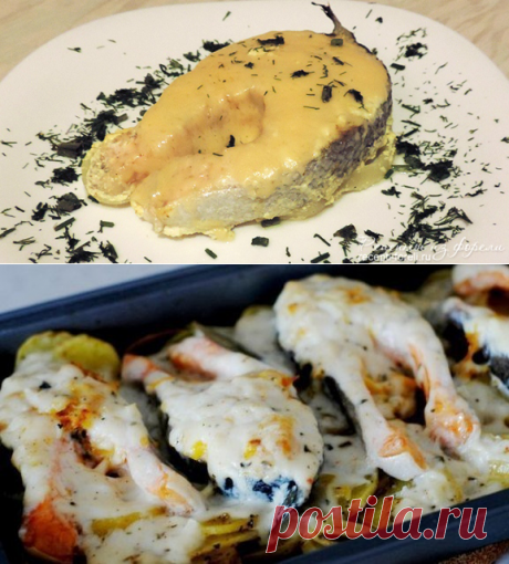 Запекание форели: самые вкусные рецепты приготовления запечённой форели с фото. - Part 2