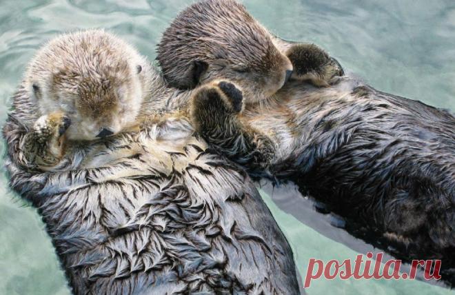 Профессионалы.ru