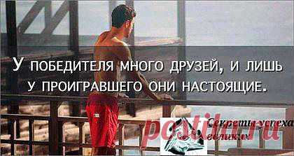 Нестоящие друзья!