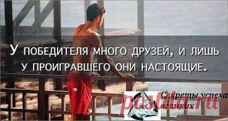 Нестоящие друзья!