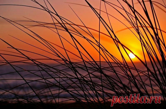 БЕСПЛАТНЫЕ МЕРЦАЮЩИЕ ОТКРЫТКИ И ПЛЕЙКАСТЫ
Радис Хажеев
